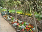 Rodmoor Gardens 2010