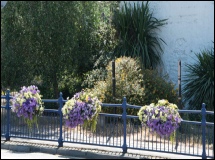 Around the town in Summer 2018