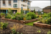 Town Garden work 2017