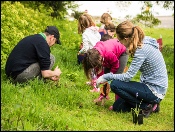 Wild flower planting 2017