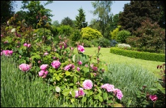 Photos around the town in 2016