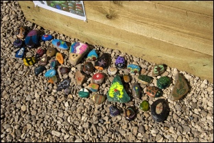 PIB - Pebble Competition-2.jpg